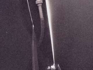 voyeurcam casa salsa fishtank