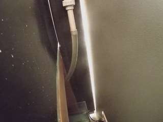 voyeurcam-casa-salsa-fishtank