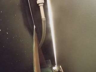 voyeurcam-casa-salsa-fishtank