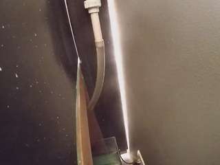 voyeurcam-casa-salsa-fishtank