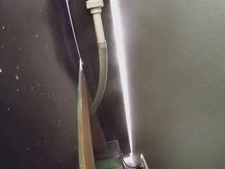 voyeurcam-casa-salsa-fishtank