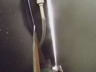 voyeurcam casa salsa fishtank