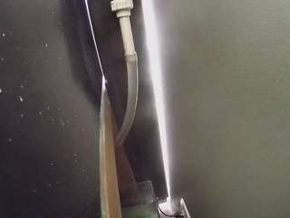 voyeurcam-casa-salsa-fishtank