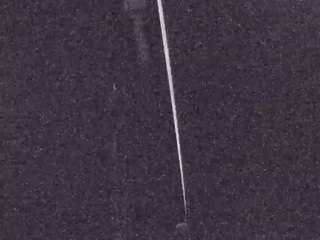 voyeurcam-casa-salsa-fishtank