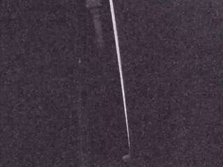 voyeurcam-casa-salsa-fishtank