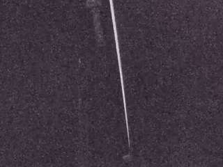 voyeurcam-casa-salsa-fishtank