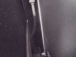 voyeurcam-casa-salsa-fishtank