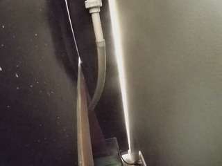 voyeurcam-casa-salsa-fishtank