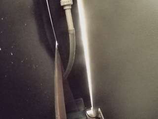 voyeurcam-casa-salsa-fishtank