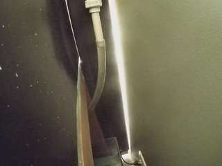 voyeurcam-casa-salsa-fishtank