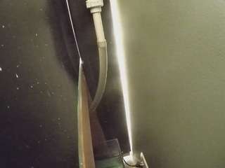 voyeurcam-casa-salsa-fishtank