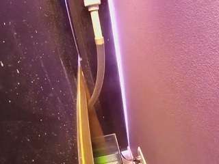 voyeurcam-casa-salsa-fishtank