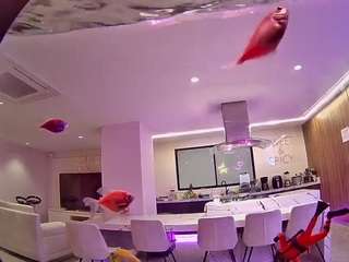 Image 1 of voyeurcam-casa-salsa-fishtank, female webcam model,  years old, on live webcam