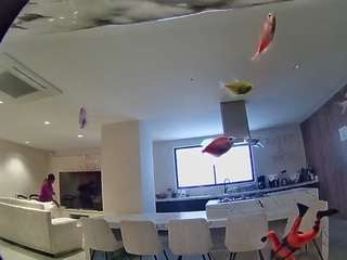 voyeurcam-casa-salsa-fishtank