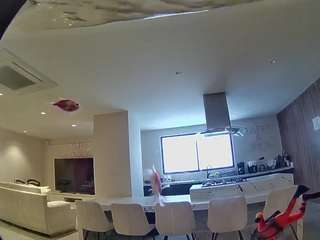 voyeurcam-casa-salsa-fishtank