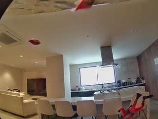 voyeurcam-casa-salsa-fishtank