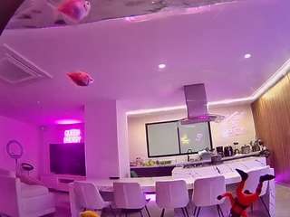 voyeurcam-casa-salsa-fishtank