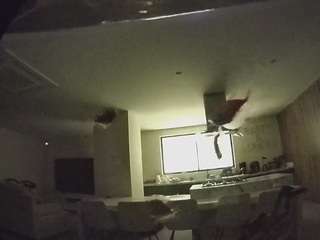 voyeurcam-casa-salsa-fishtank