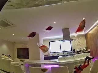 voyeurcam-casa-s... Live Webcam on CamSoda