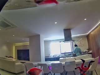 voyeurcam-casa-salsa-fishtank