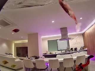 voyeurcam-casa-salsa-fishtank