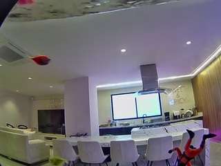 voyeurcam-casa-salsa-fishtank