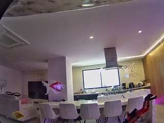 voyeurcam-casa-salsa-fishtank