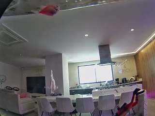 voyeurcam-casa-salsa-fishtank