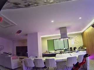 voyeurcam-casa-salsa-fishtank