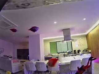 voyeurcam-casa-salsa-fishtank