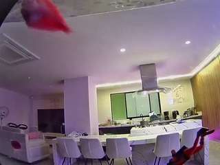 voyeurcam-casa-salsa-fishtank