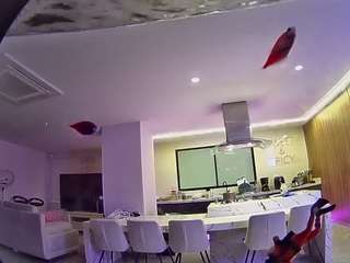 voyeurcam-casa-salsa-fishtank