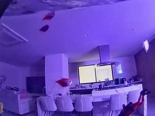 voyeurcam-casa-salsa-fishtank