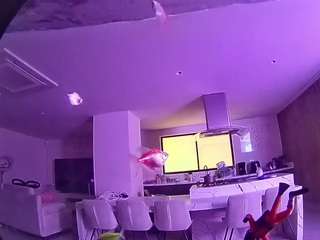 voyeurcam-casa-salsa-fishtank