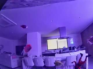 voyeurcam-casa-salsa-fishtank