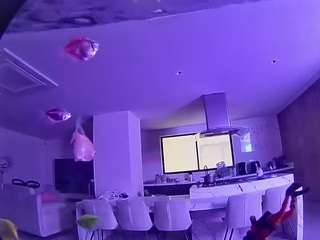 voyeurcam-casa-salsa-fishtank