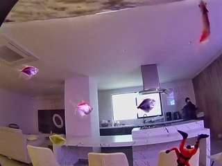 voyeurcam-casa-salsa-fishtank