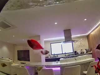 voyeurcam-casa-salsa-fishtank Flash live webcam