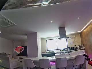 voyeurcam-casa-salsa-fishtank Young live webcam