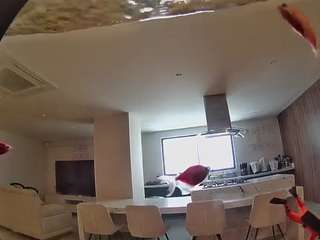 voyeurcam-casa-salsa-fishtank