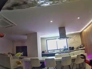 voyeurcam-casa-salsa-fishtank live cam profile