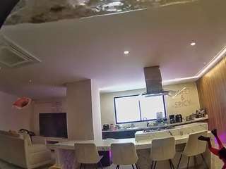 voyeurcam-casa-salsa-fishtank live cam profile