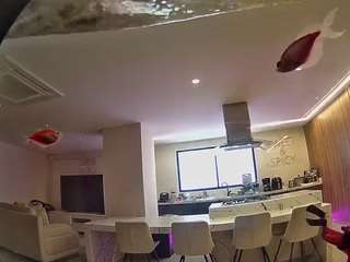 voyeurcam-casa-s... Live Webcam on CamSoda
