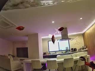voyeurcam-casa-salsa-fishtank live cam profile