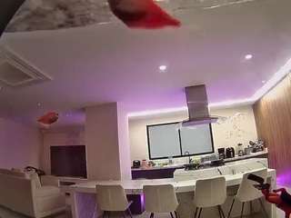 voyeurcam-casa-salsa-fishtank live cam profile