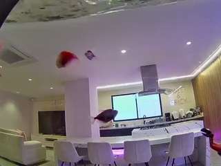 voyeurcam-casa-salsa-fishtank live cam profile