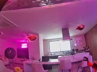 voyeurcam-casa-salsa-fishtank live cam profile