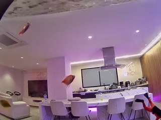 voyeurcam-casa-salsa-fishtank live cam profile