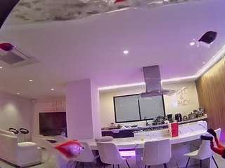 voyeurcam-casa-salsa-fishtank live cam profile