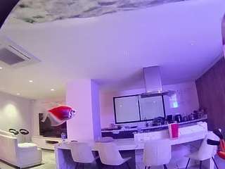 voyeurcam-casa-salsa-fishtank live cam profile